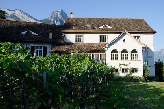 Weingut Nidberg